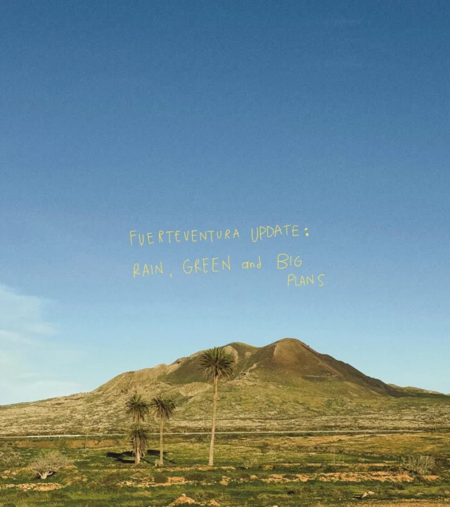 Hi there! ☀️
Greetings from our Art Studio in Lajares, Fuerteventura!
You probably imagine us enjoying eternal sunshine, but to be honest, it’s been a weird couple of months here. We’ve had quite a bit of rain and the temperature has dropped to 17°C. Okay, okay... we know what you’re thinking. “17 degrees? That’s not cold!”

But for us islanders, let’s just say we are drinking extra hot coffee and wearing double layers.

It’s officially “Canarian Winter.” While the rain has made the island incredibly green and beautiful, we really can’t wait for the heat to kick in.

WHY ARE WE COUNTING DOWN THE DAYS? 

The new designs are inspired by the Sun as our temple guide, and we are so emotional about how it’s turning out. We promise it will be worth the wait.

Until the Sun itself comes out, stay cozy with LOS AMIGOS Organic Cotton Cardigan and Beanie 😇

BIG LOVE FROM Ila & Misha

#pulaumiedition #slowbrand #fuerteventura #yourchoice